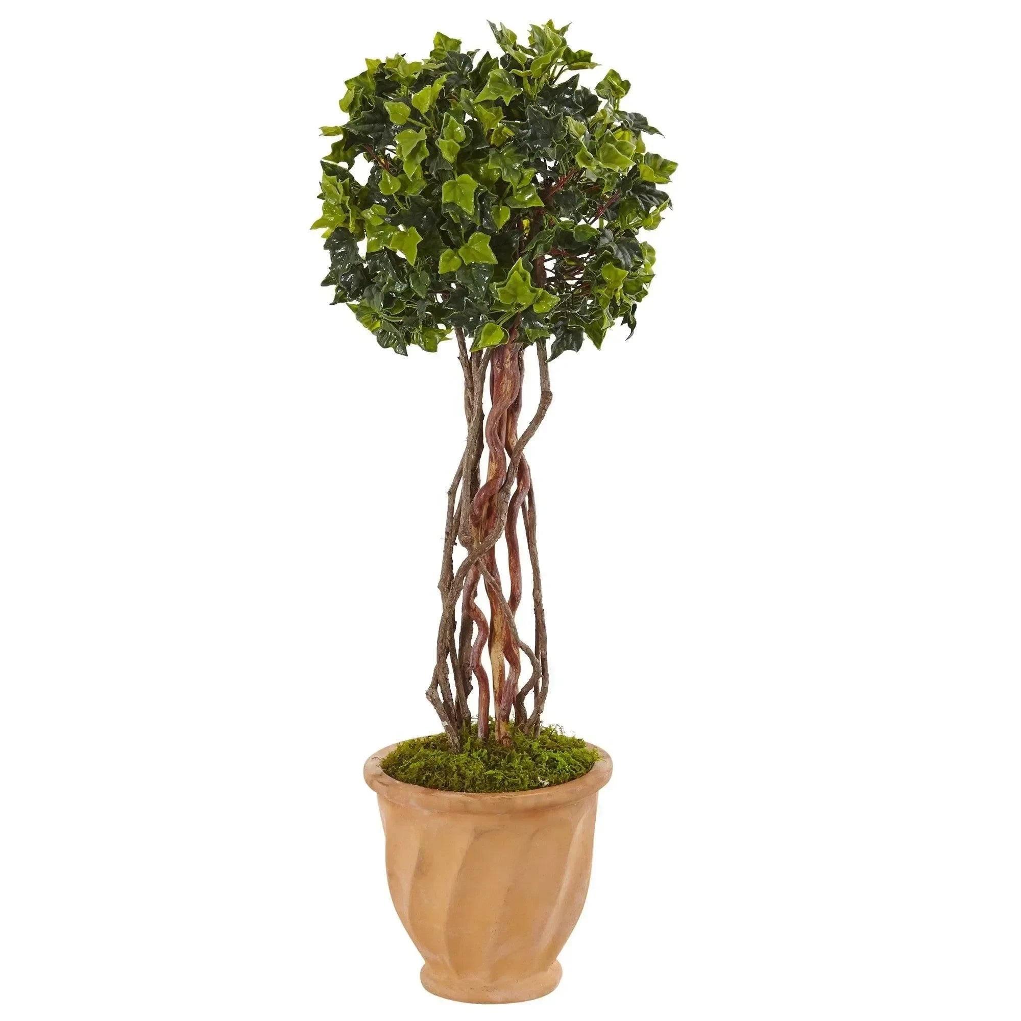 3’ English Ivy Tree in Terracotta Planter UV Resistant (Indoor/Outdoor) - The Mayfair Hall