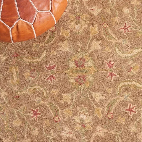 Antiquity Wool Rug in Brown and Gold - The Mayfair Hall