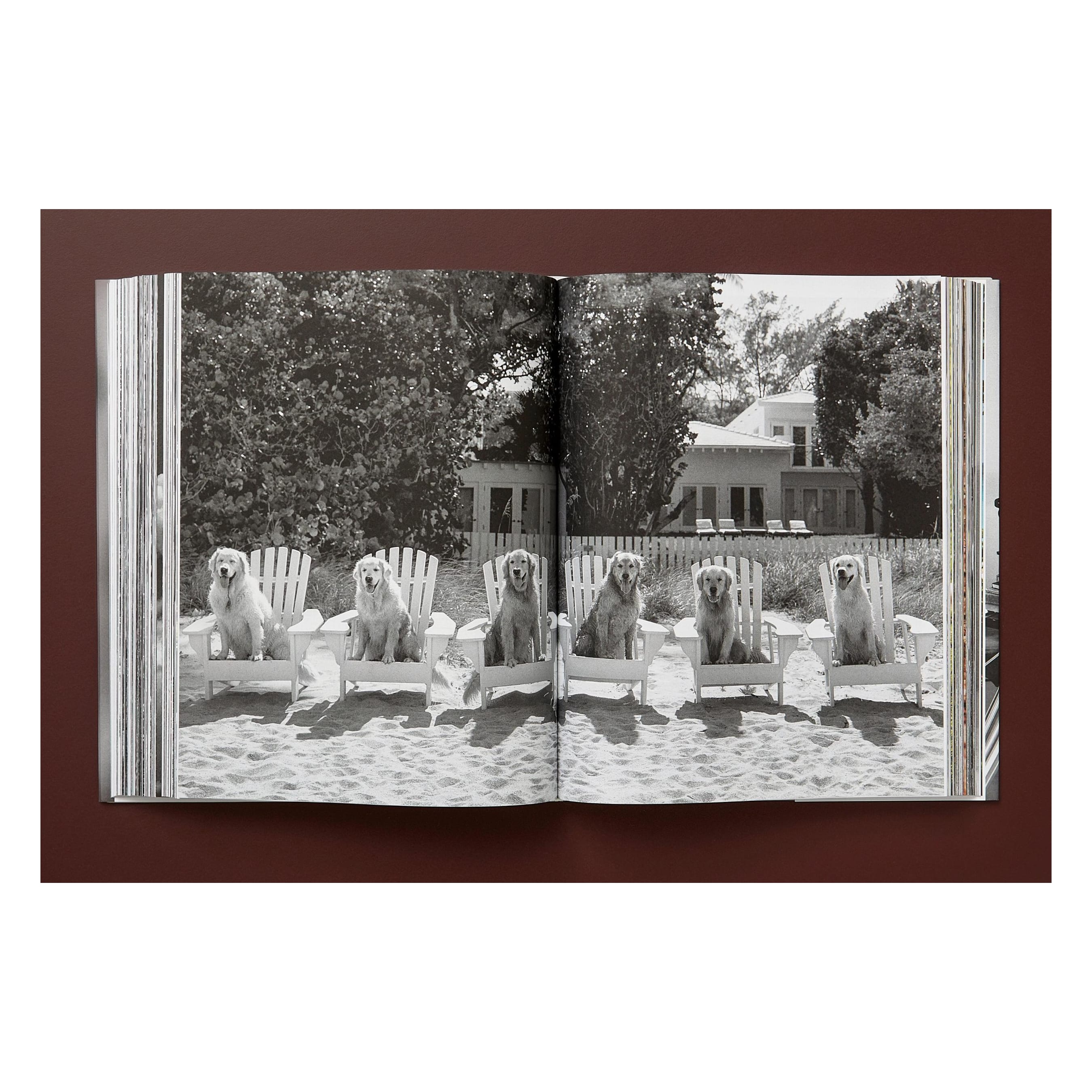 Bruce Weber. The Golden Retriever Photographic Society (German, French, English)