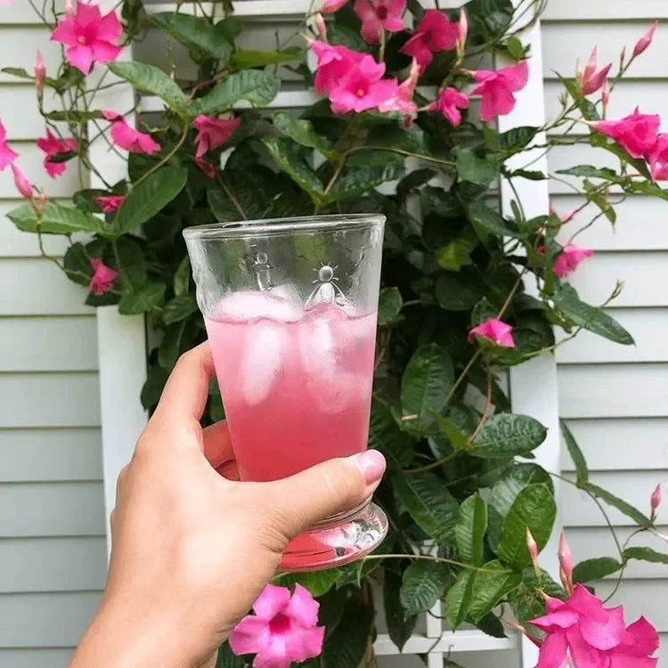 Bee Ice tea Glass (Set of 6) - The Mayfair Hall