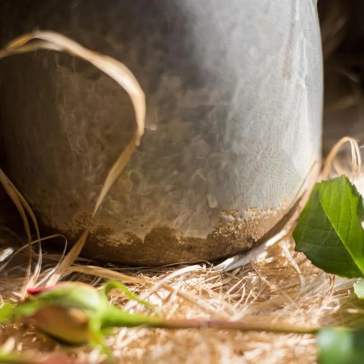 Binglie Glazed Pottery Vase with Handles - The Mayfair Hall