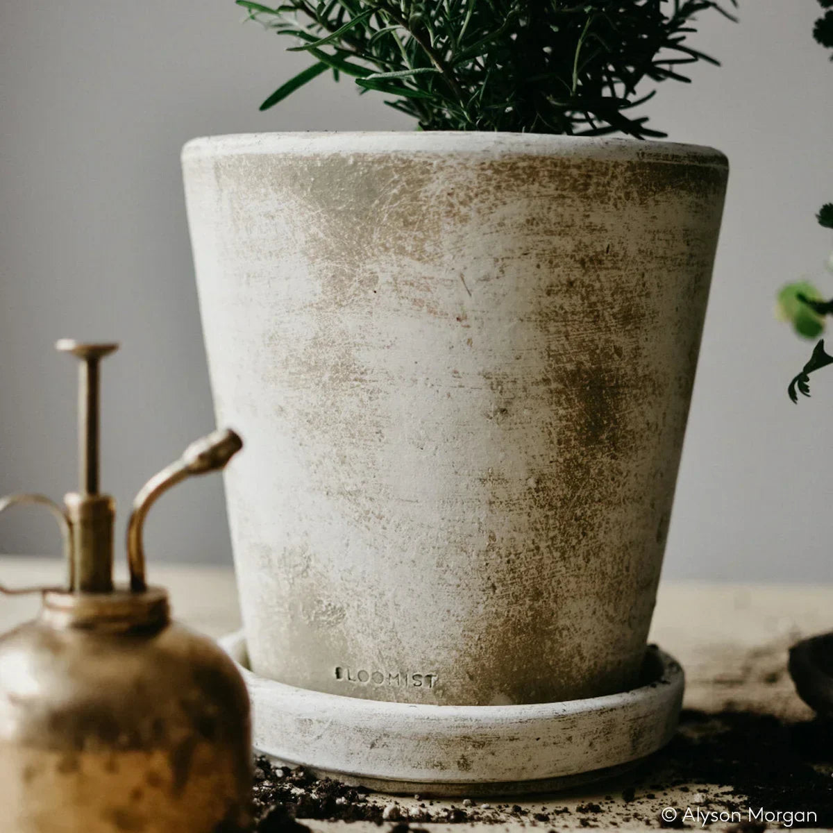 Basic Planter, White Patina - The Mayfair Hall
