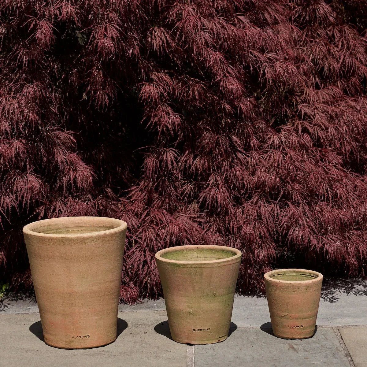 Greenwash Terracotta Studio Planter - The Mayfair Hall