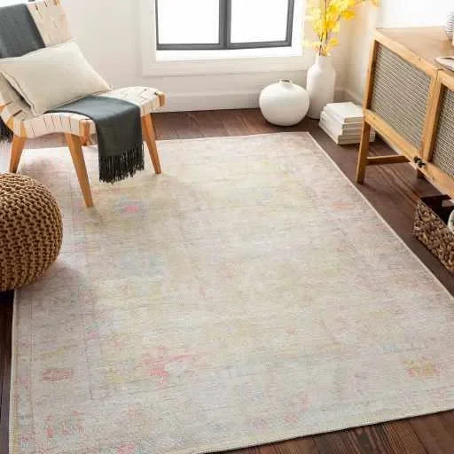 Bozkurt Distressed Washable Rug - The Mayfair Hall