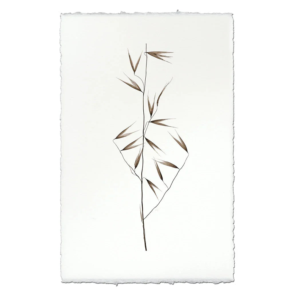 Burr Form - The Mayfair Hall