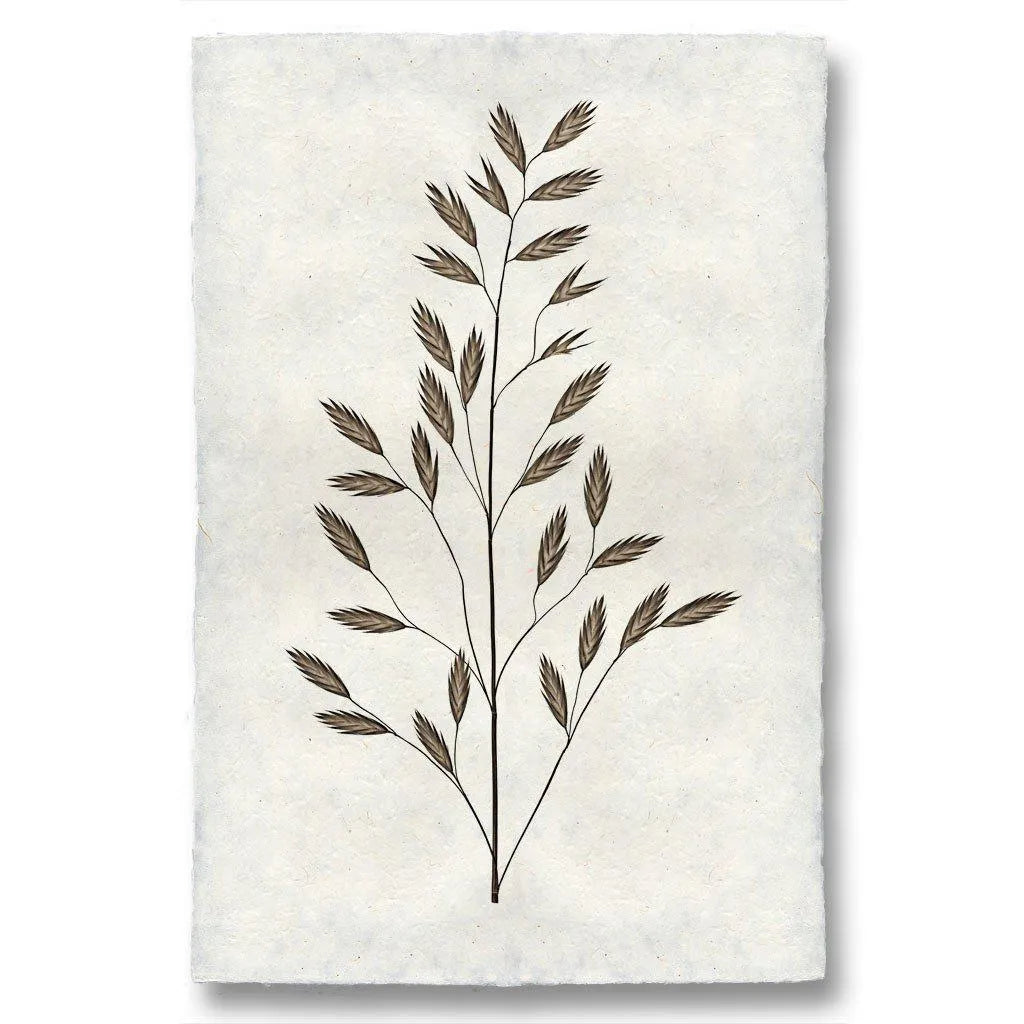 Burr Form #2 - The Mayfair Hall