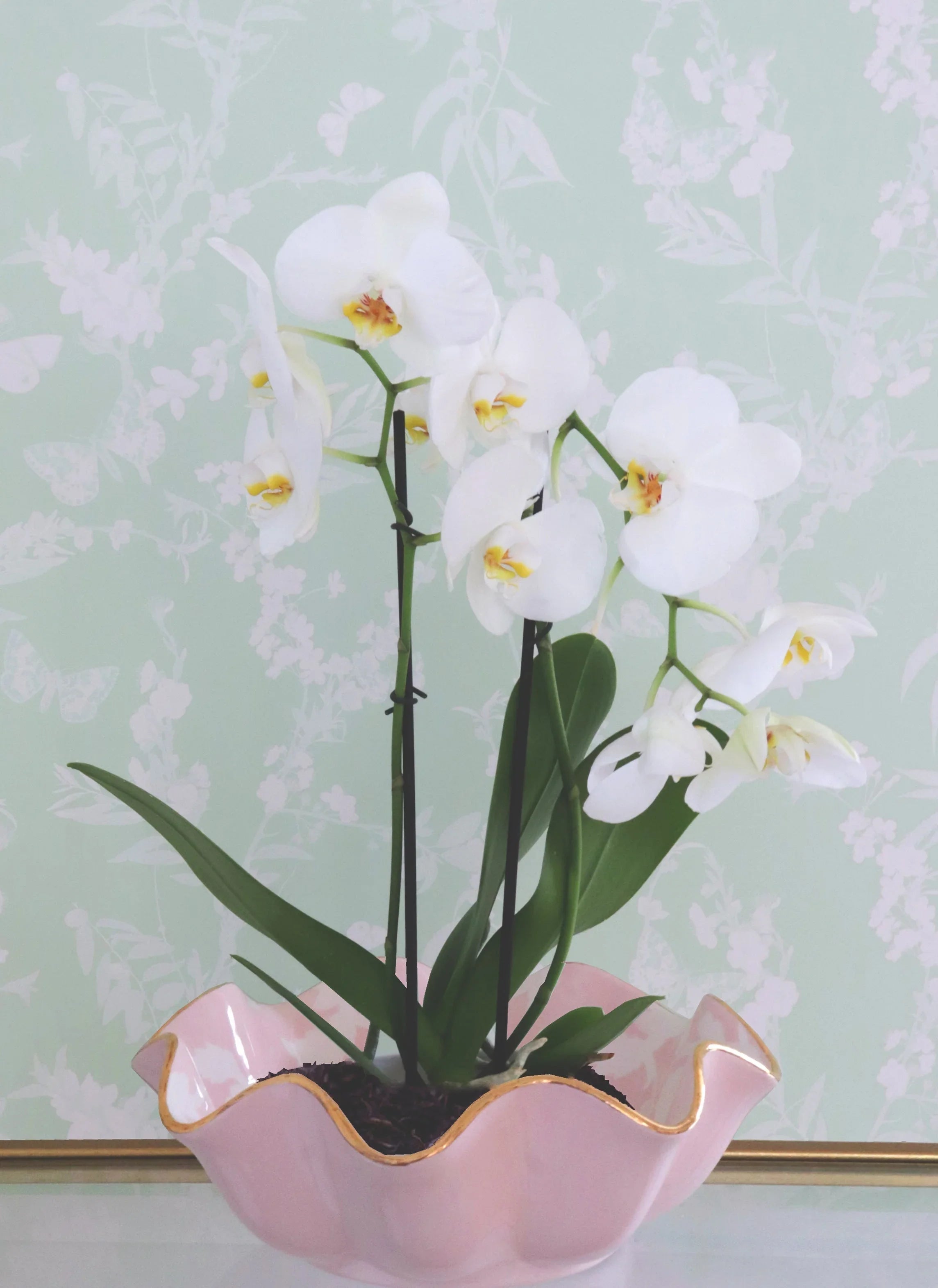 Chinoiserie Dreams Scalloped Bowls with 22K Gold Accent - The Mayfair Hall