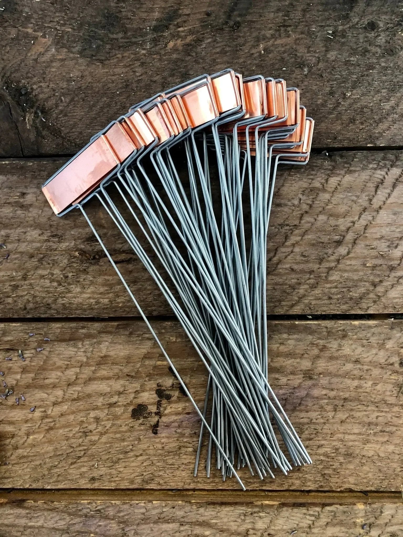 Copper Plant Tags - Garden Markers Set - The Mayfair Hall