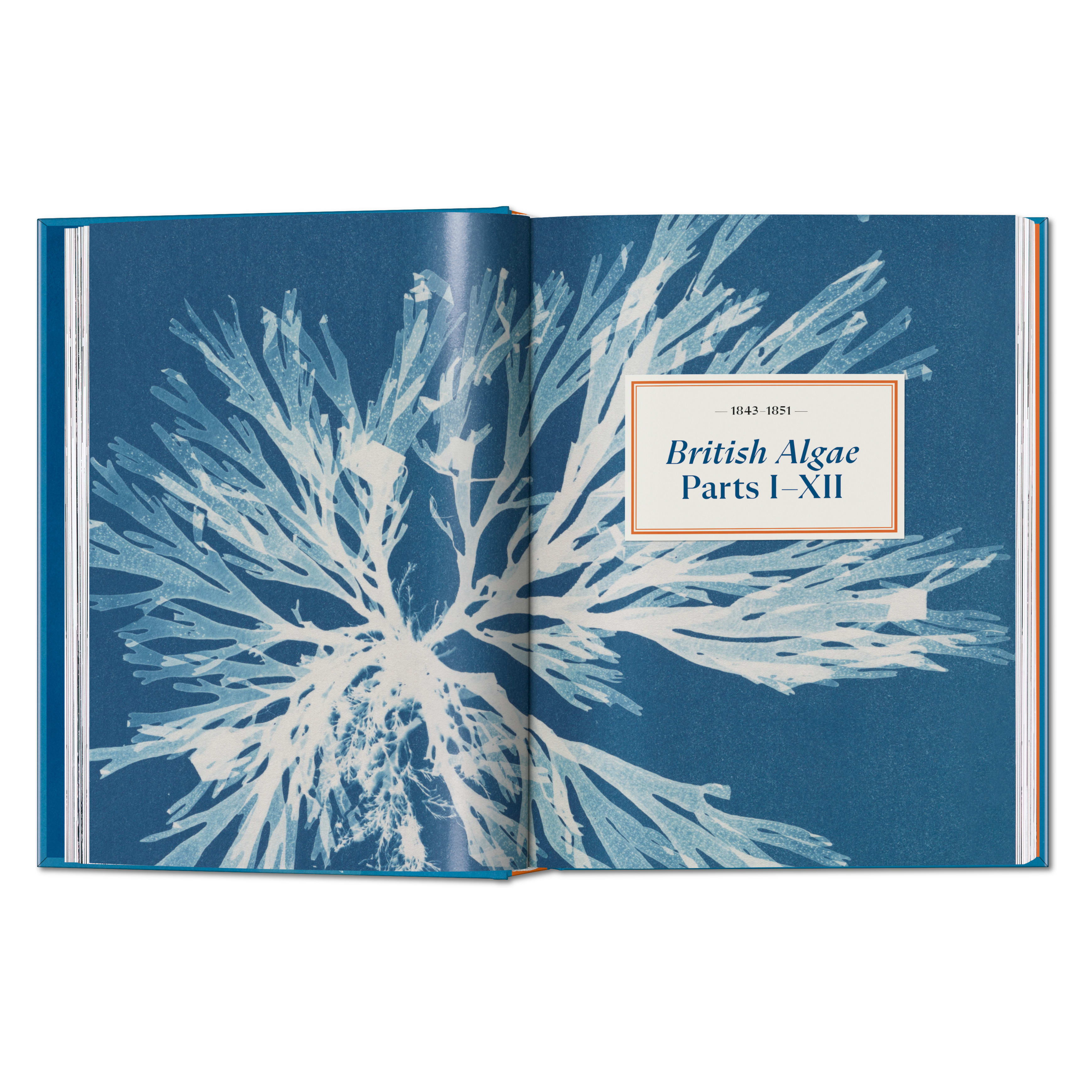 Anna Atkins. Cyanotypes. 45th Ed. (German, French, English)