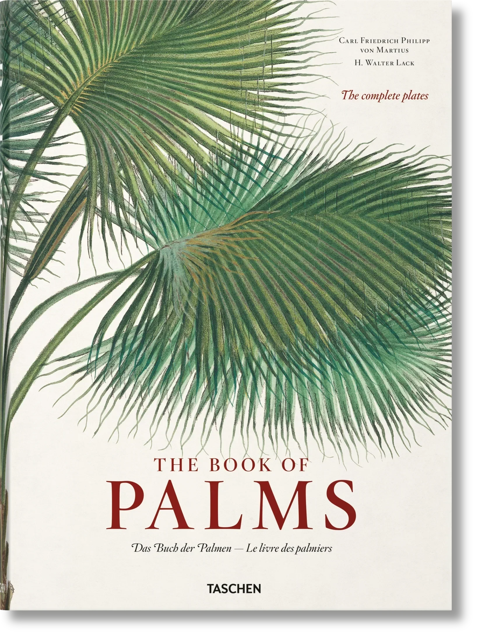 Martius. The Book of Palms (German, French, English) - The Mayfair Hall