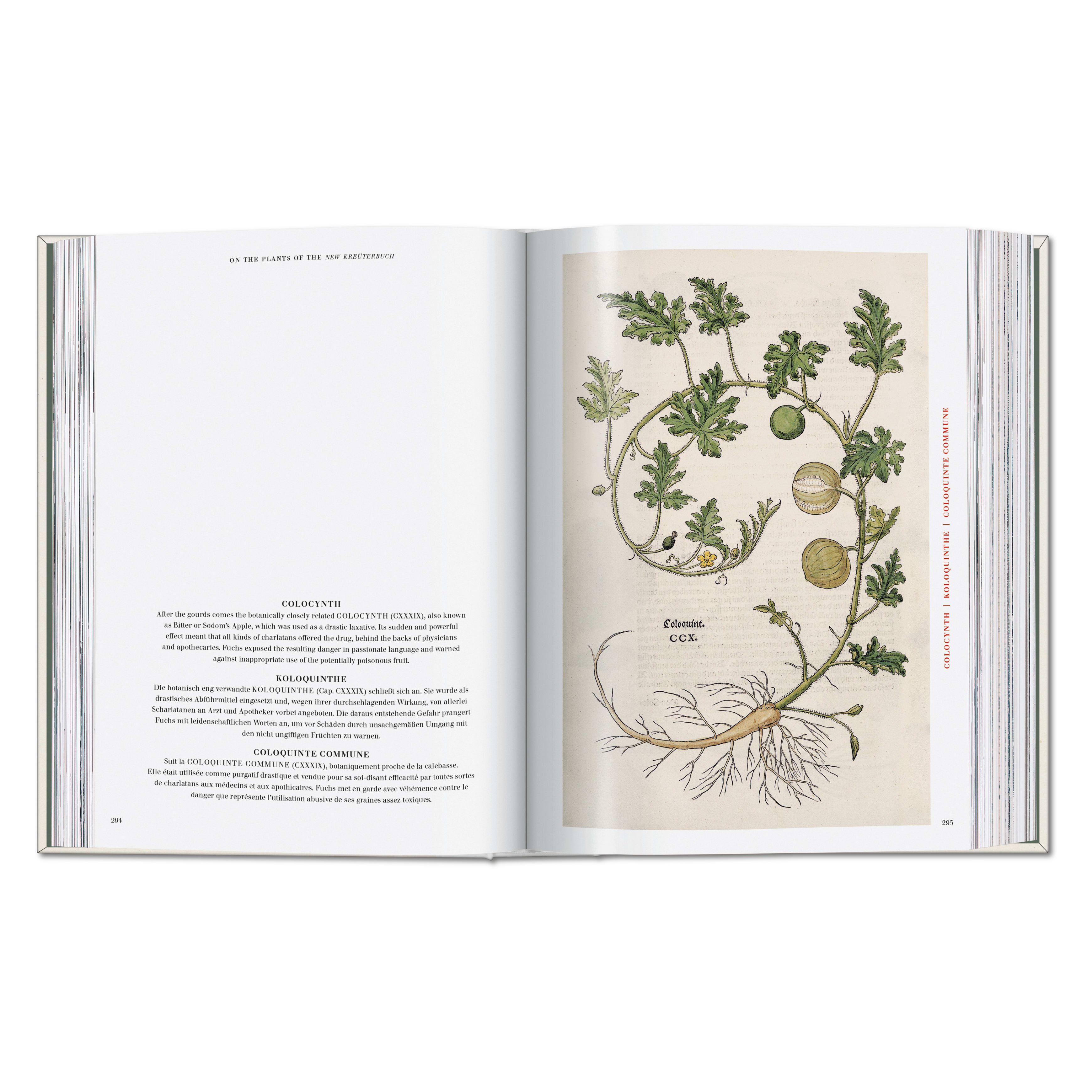 Leonhart Fuchs. The New Herbal (German, French, English)
