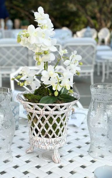 Ivory & Gold Lattice Footed Planter