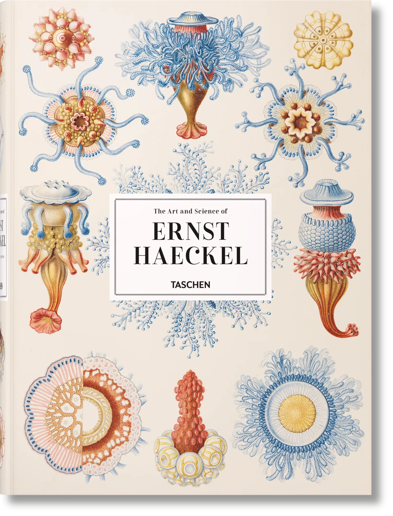 The Art and Science of Ernst Haeckel (German, French, English) - The Mayfair Hall