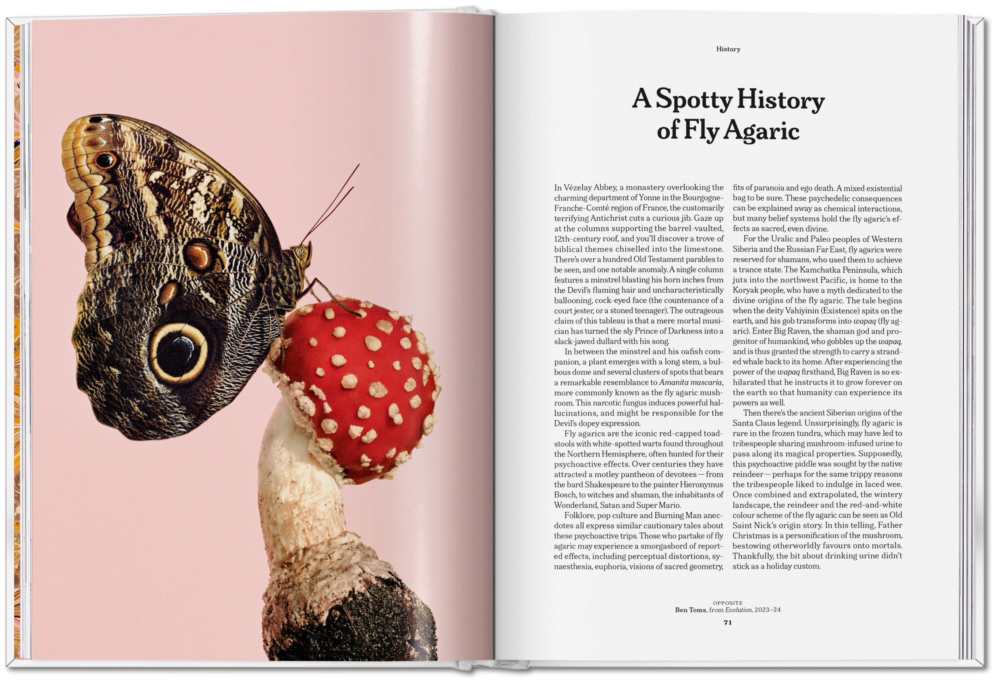 The Gourmand's Mushroom. A Collection of Stories and Recipes (English)