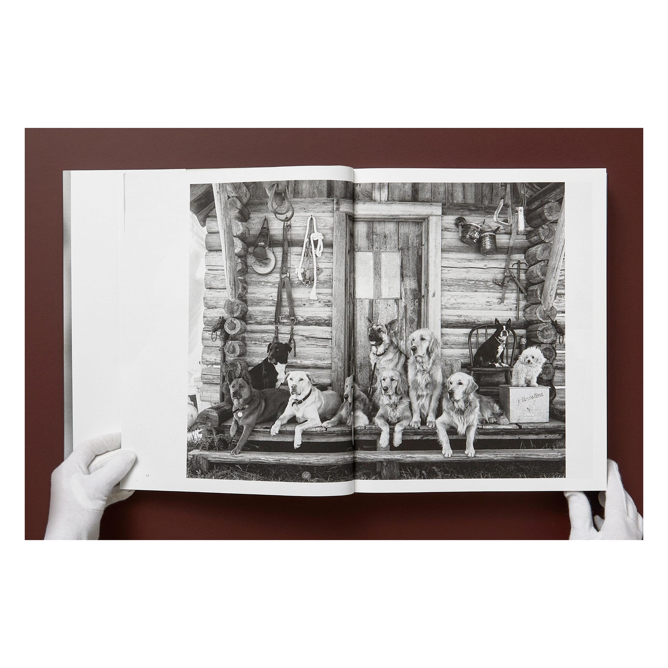 Bruce Weber. The Golden Retriever Photographic Society (German, French, English)