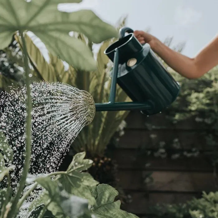 Haws Bearwood Brook - Watering Can - The Mayfair Hall