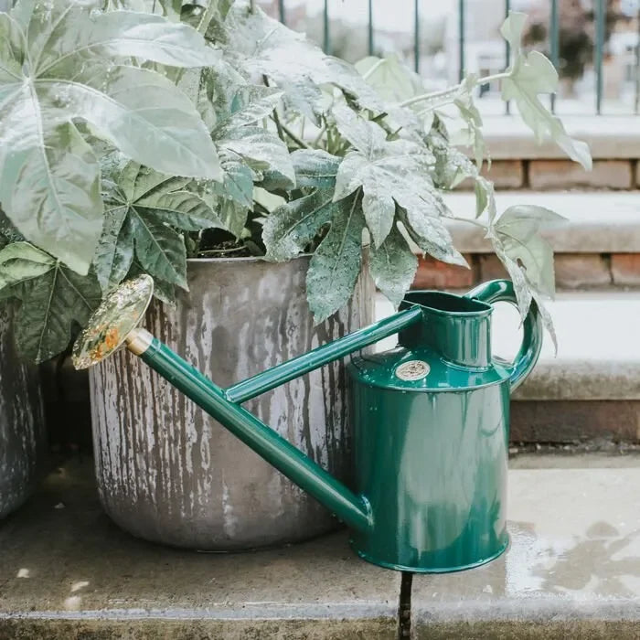 Haws Bearwood Brook - Watering Can - The Mayfair Hall