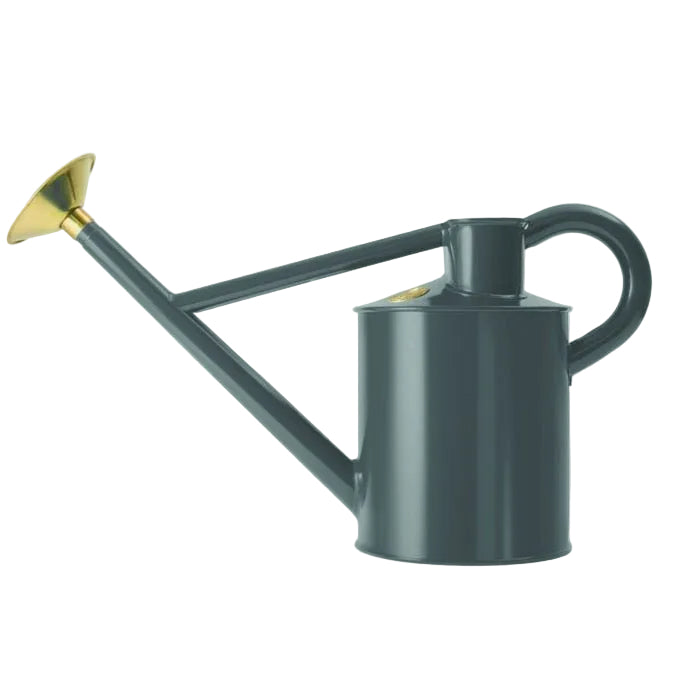Bearwood Brook Galvanized Steel Watering Can by Haws