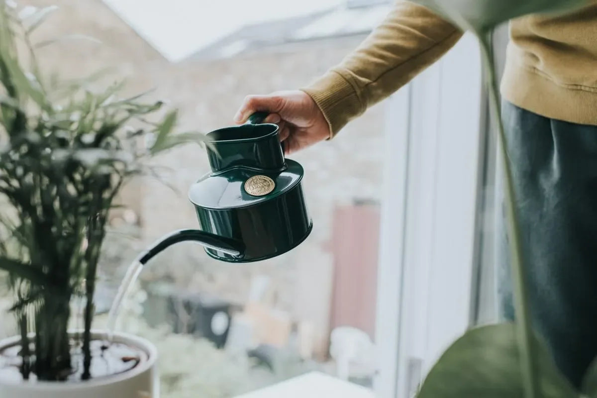 Haws Fazeley - Watering Can - The Mayfair Hall