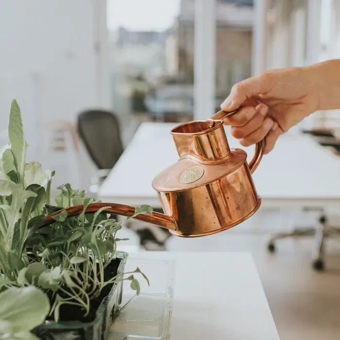 Haws Fazeley - Watering Can - The Mayfair Hall