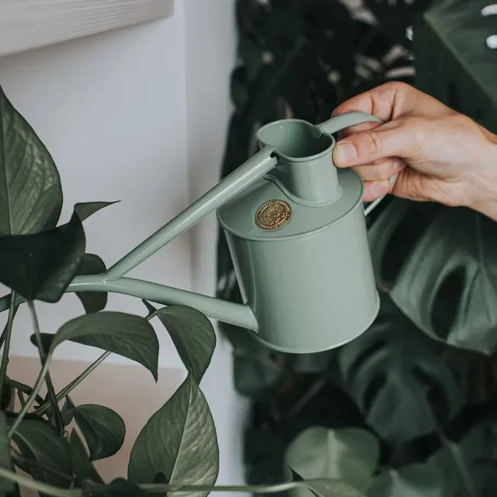 Haws Fazeley - Watering Can - The Mayfair Hall