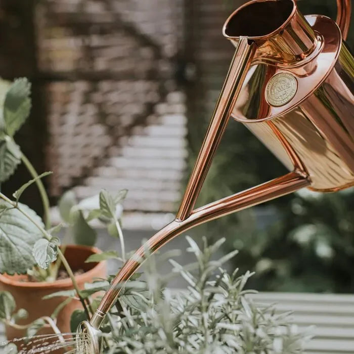 Haws Rowley Ripple - Watering Can - The Mayfair Hall