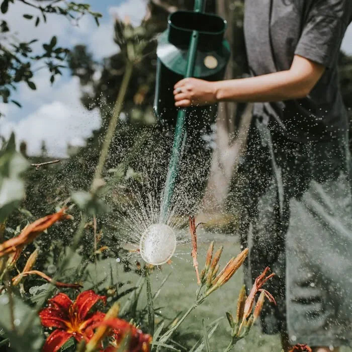 Haws Warley Fall - Watering Can - The Mayfair Hall
