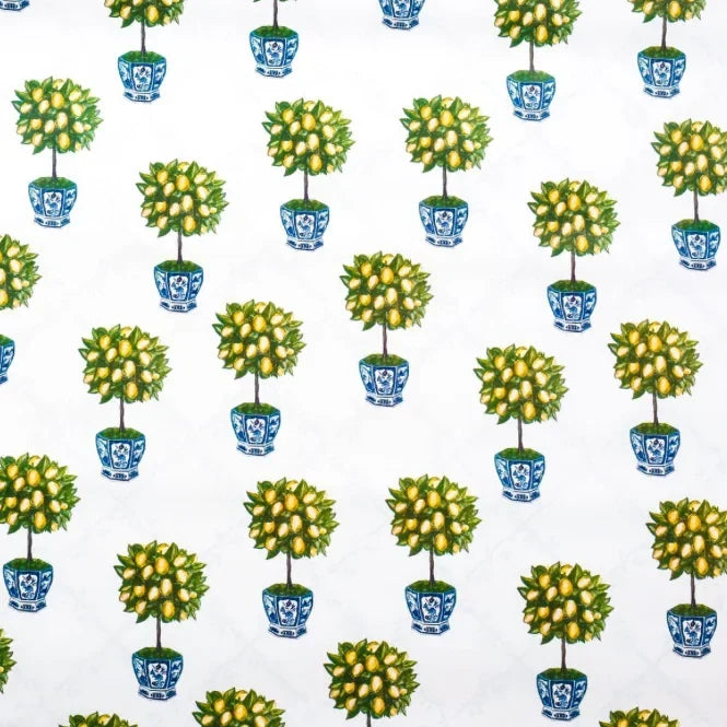Reversible Lemon Topiary with Trellis Gift Wrap - The Mayfair Hall