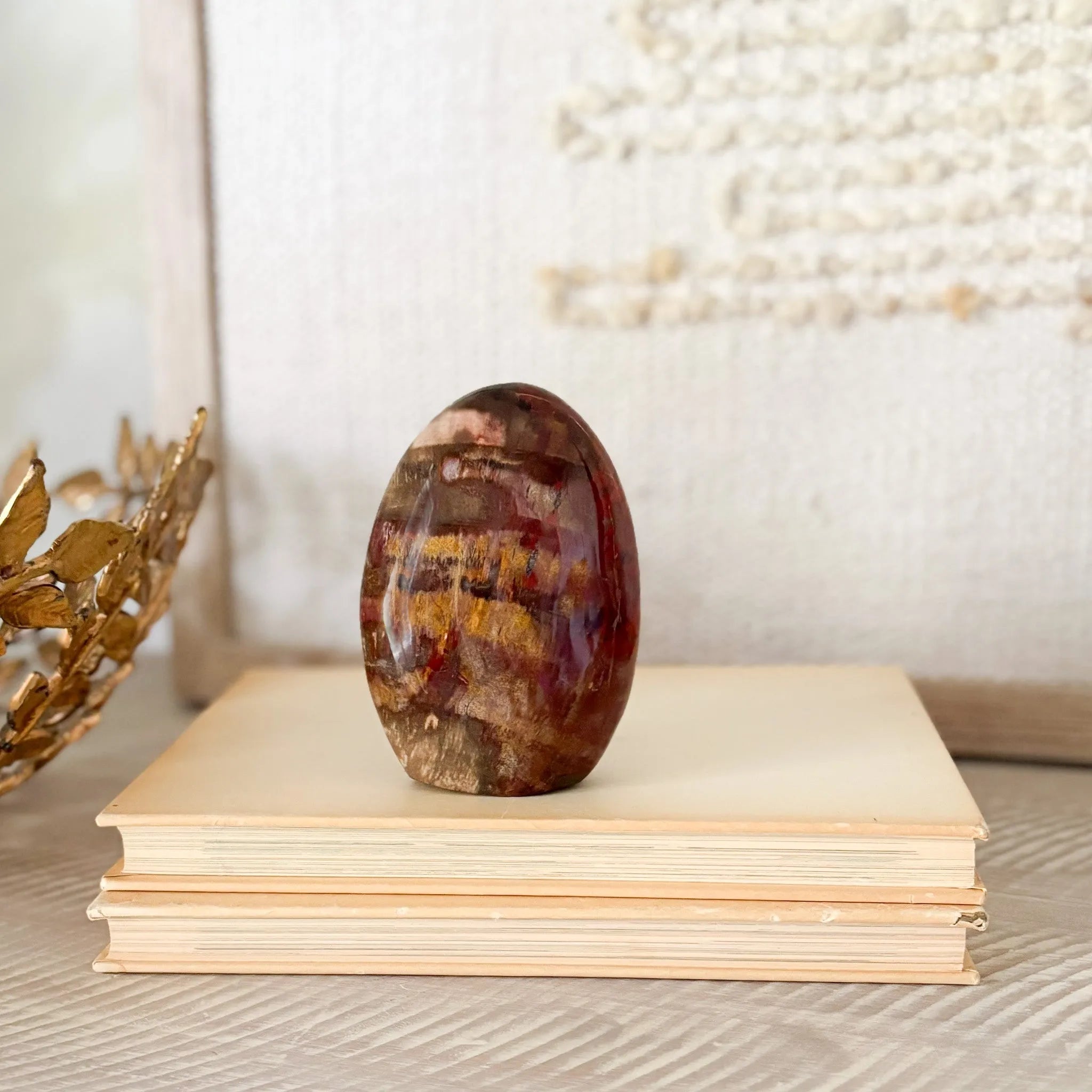 Madagascar Petrified Wood Freeform
