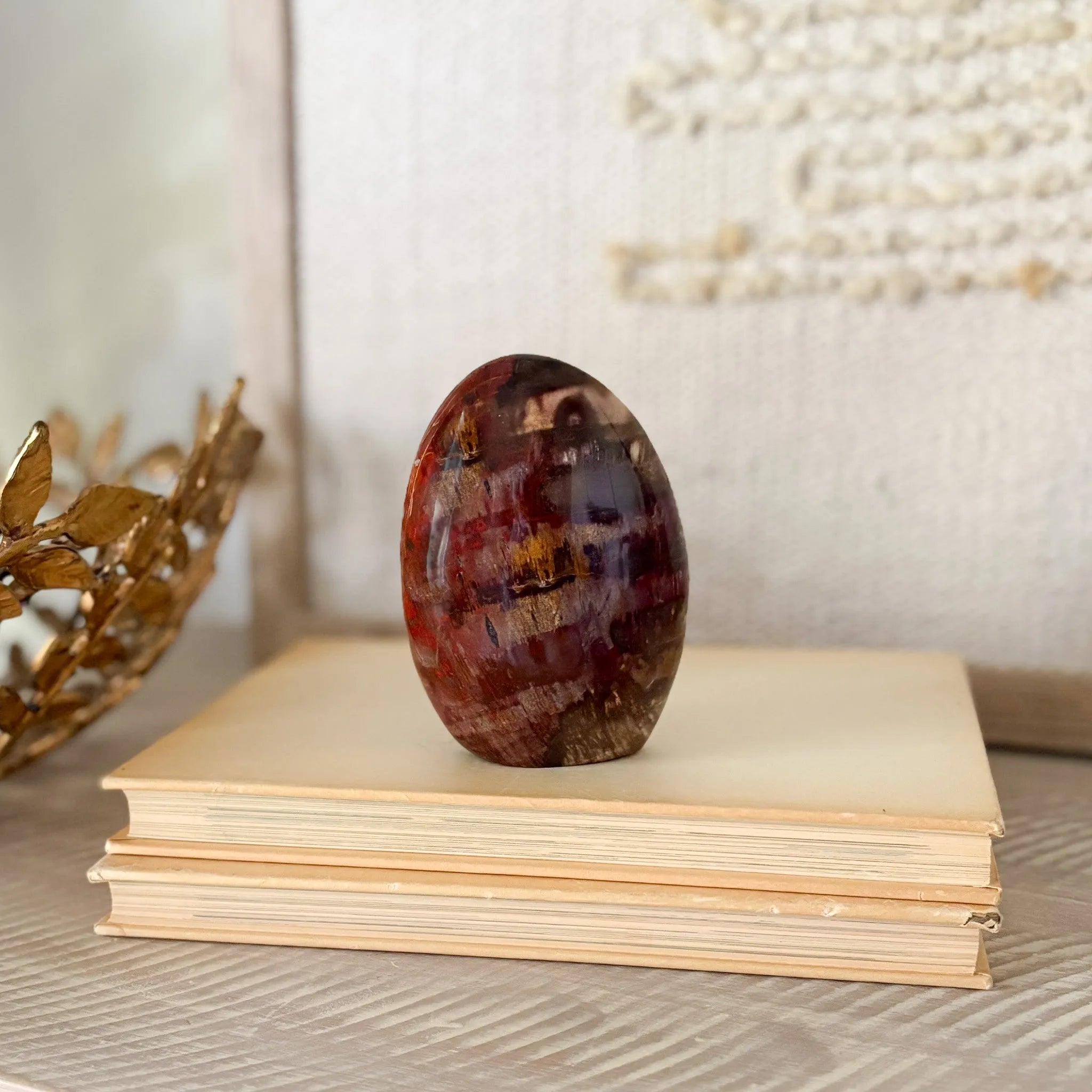 Madagascar Petrified Wood Freeform