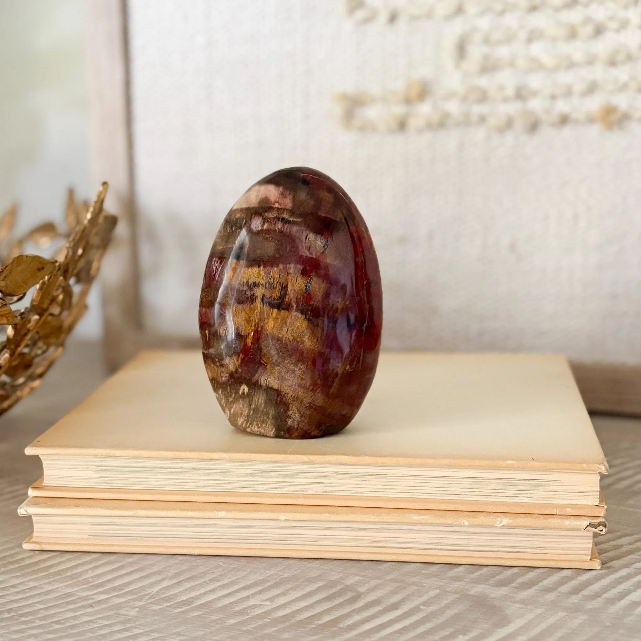 Madagascar Petrified Wood Freeform