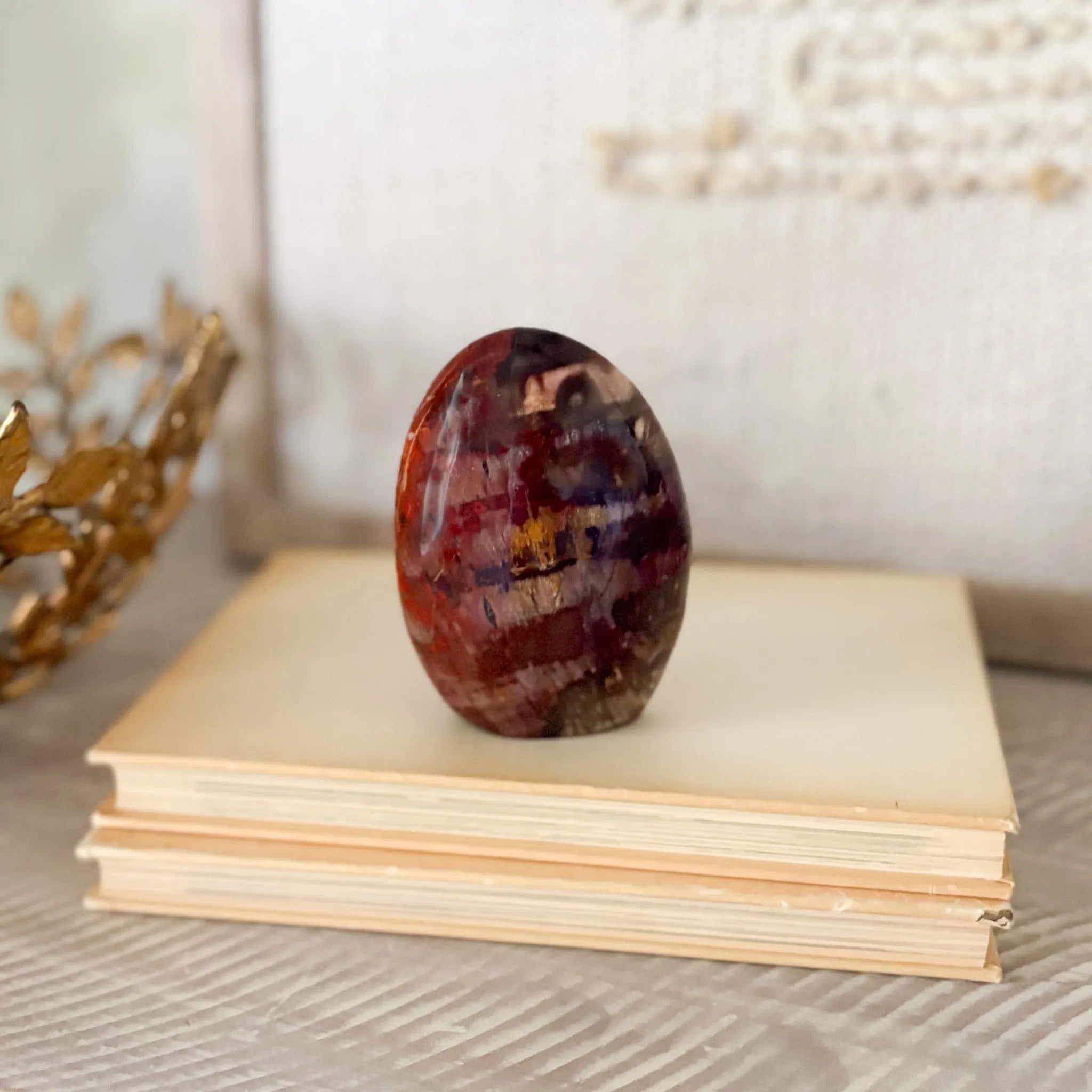 Madagascar Petrified Wood Freeform