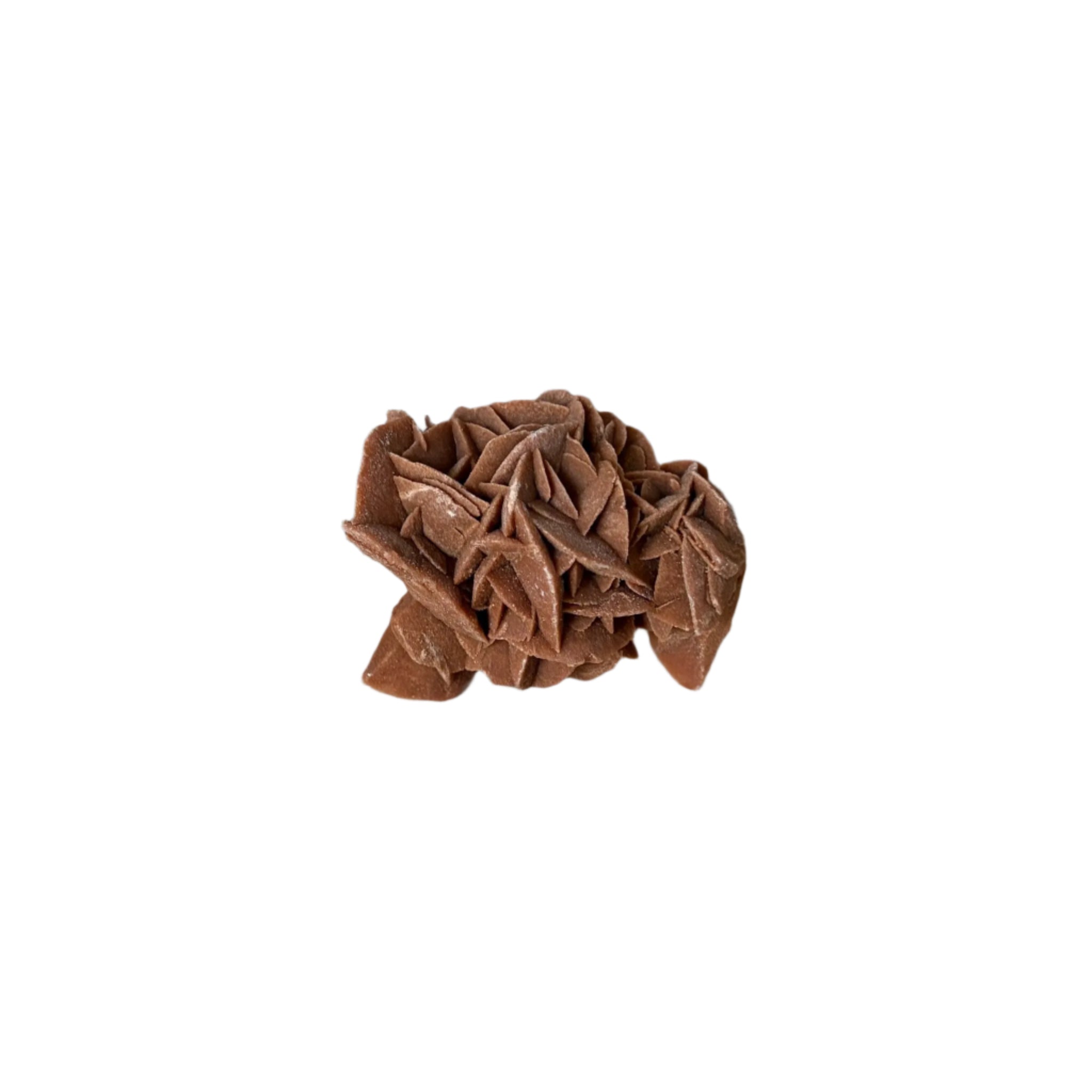 Moroccan Desert Rose Selenite