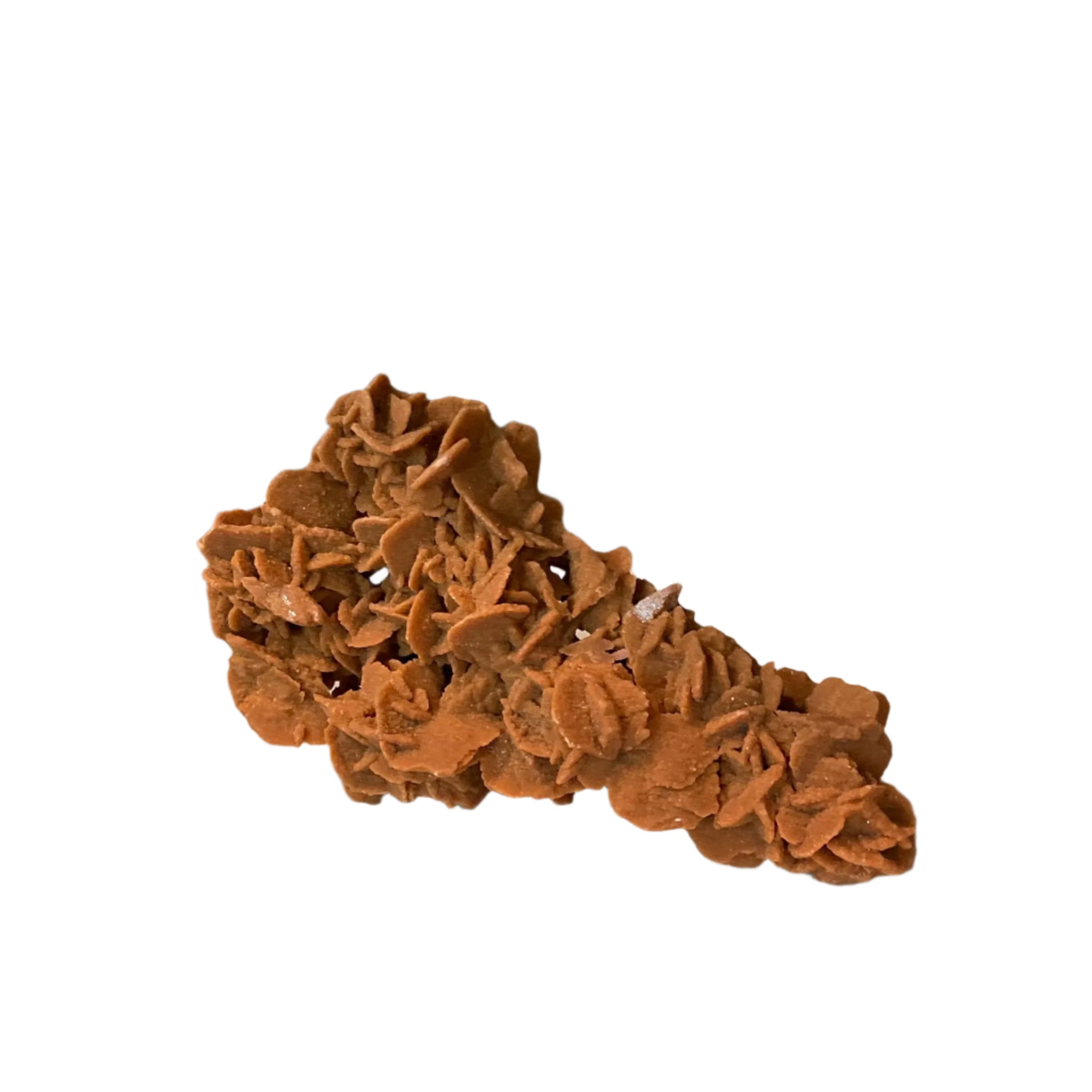 Moroccan Desert Rose Selenite
