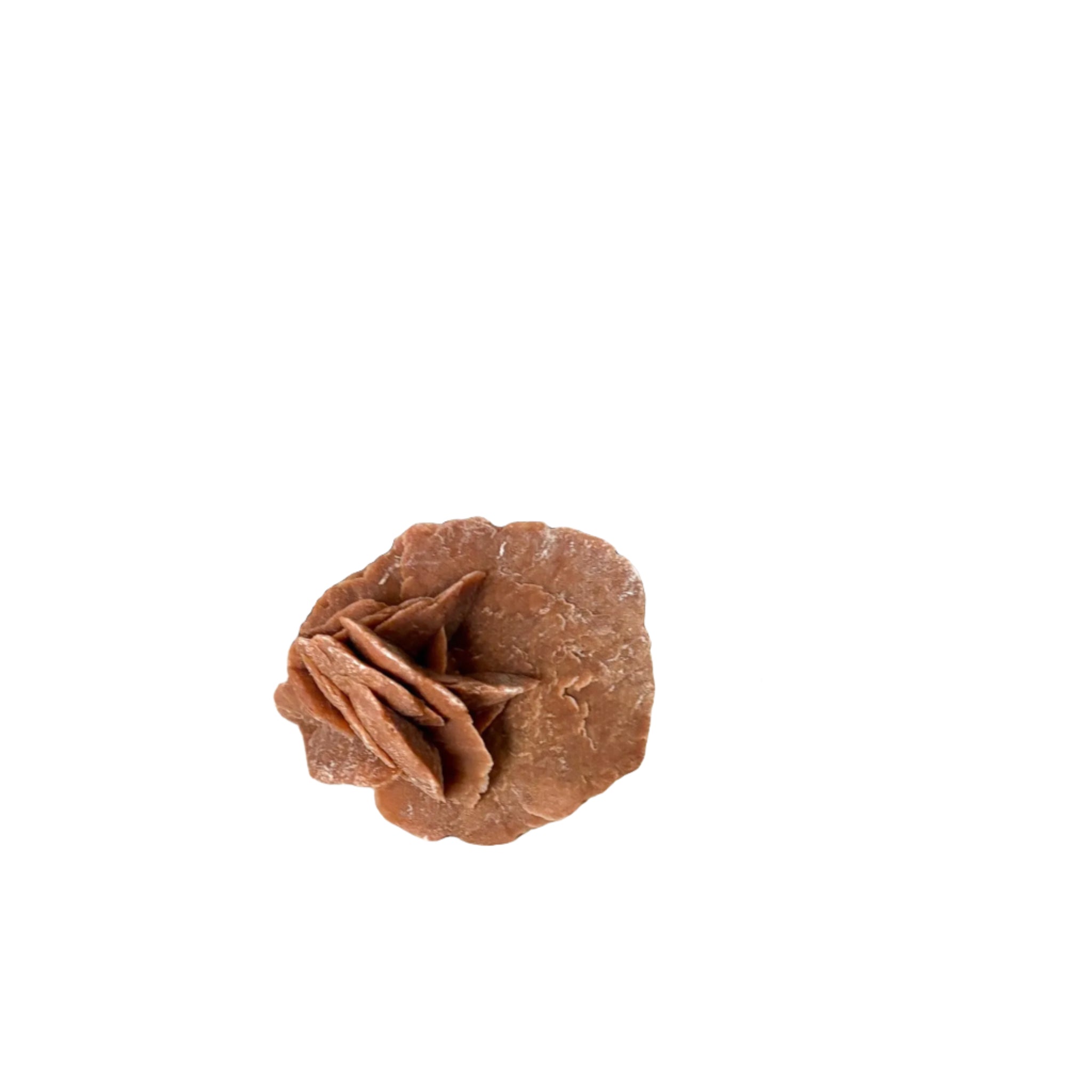 Moroccan Desert Rose Selenite