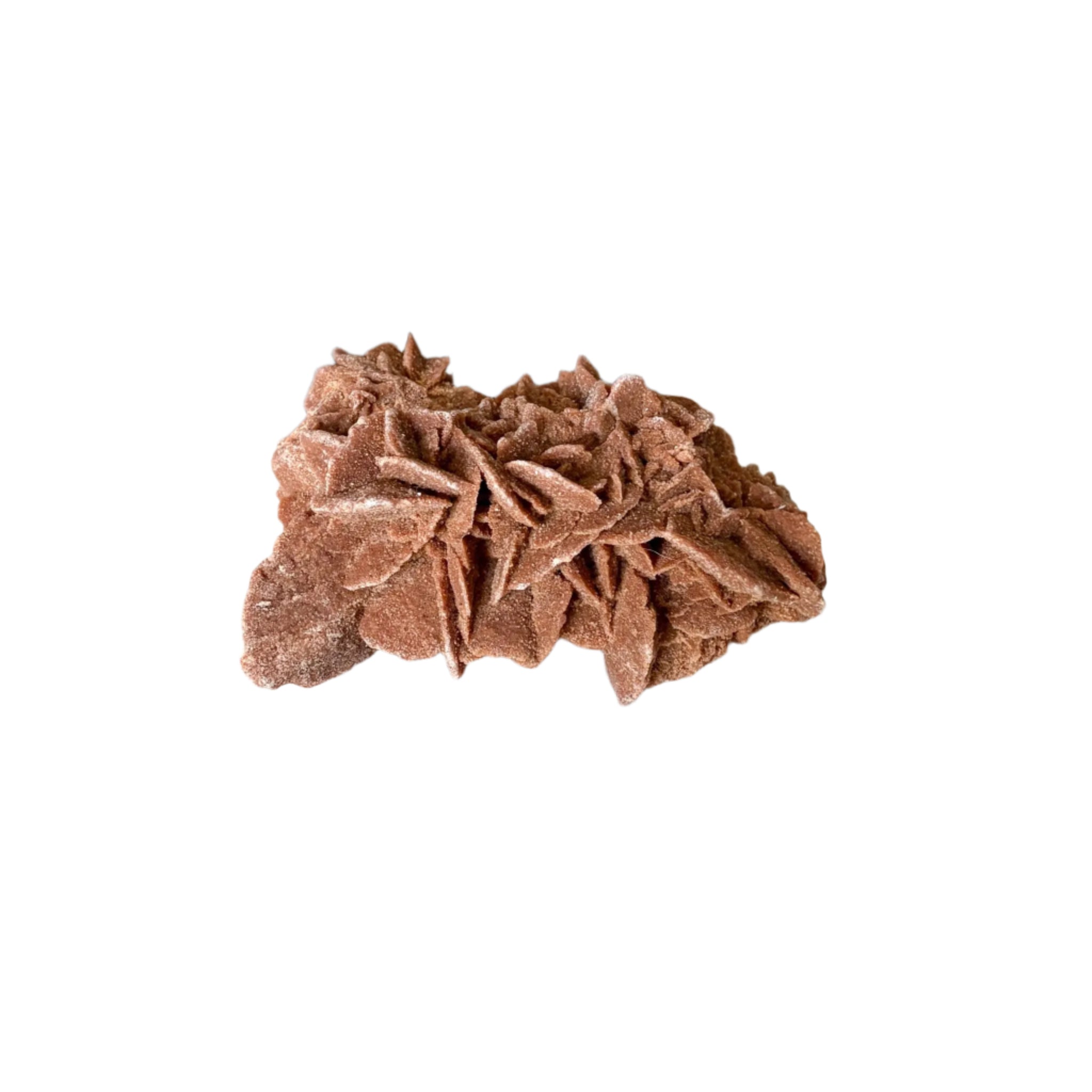 Moroccan Desert Rose Selenite