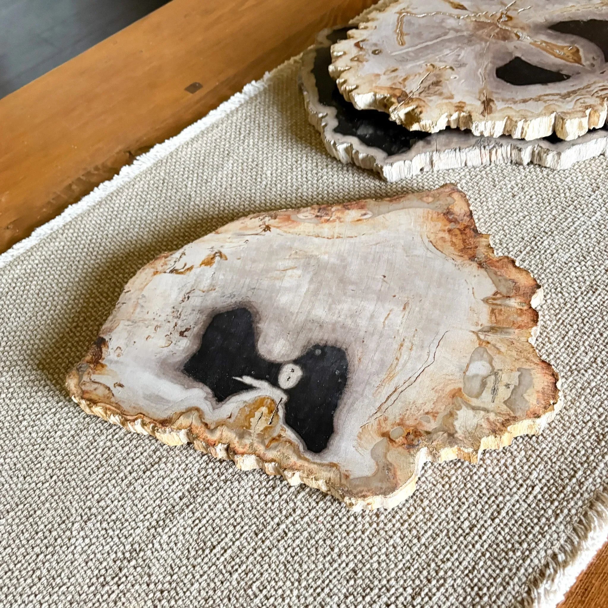 Natural Edge Petrified Wood Serving Board - The Mayfair Hall