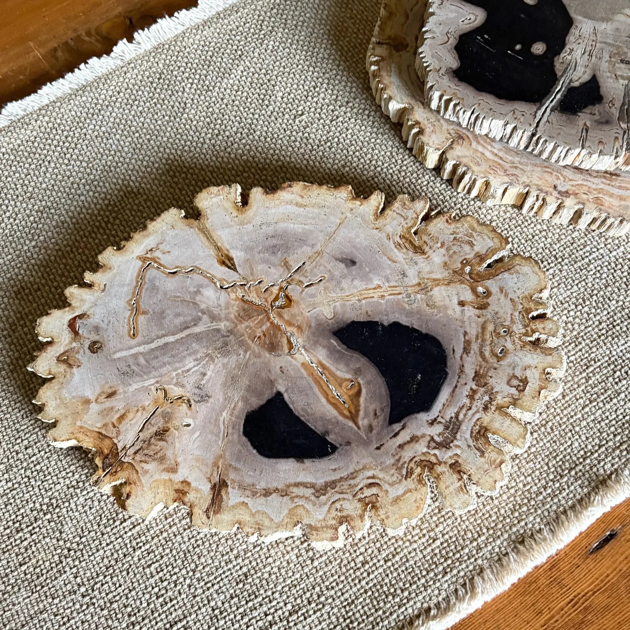 Natural Edge Petrified Wood Serving Board - The Mayfair Hall