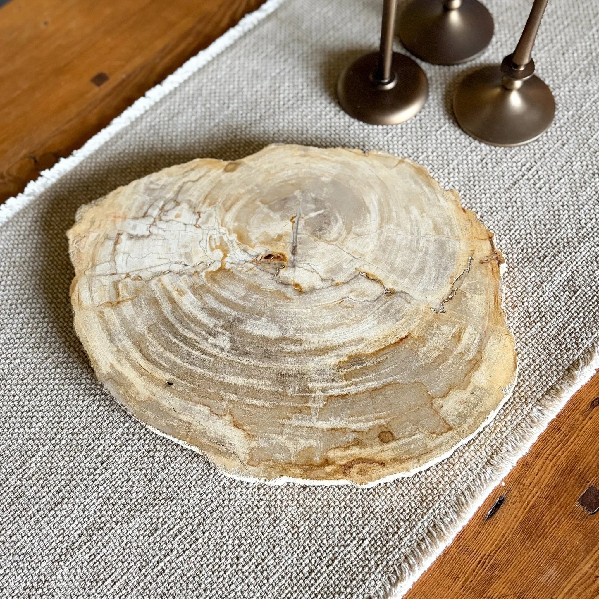 Natural Edge Petrified Wood Serving Board - The Mayfair Hall