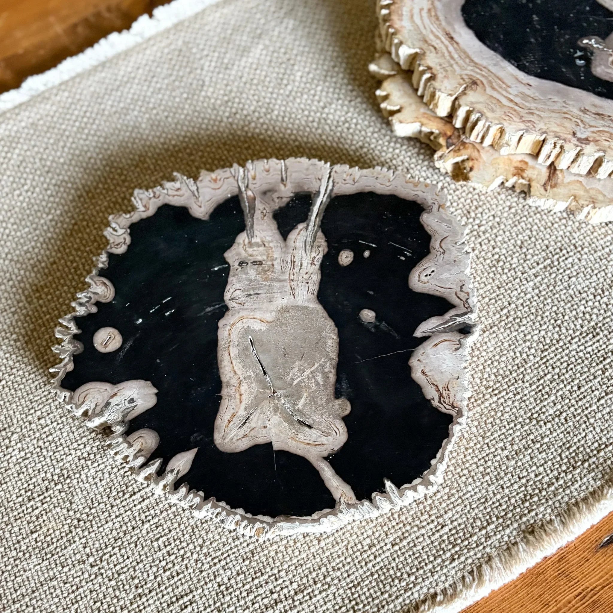 Natural Edge Petrified Wood Serving Board - The Mayfair Hall