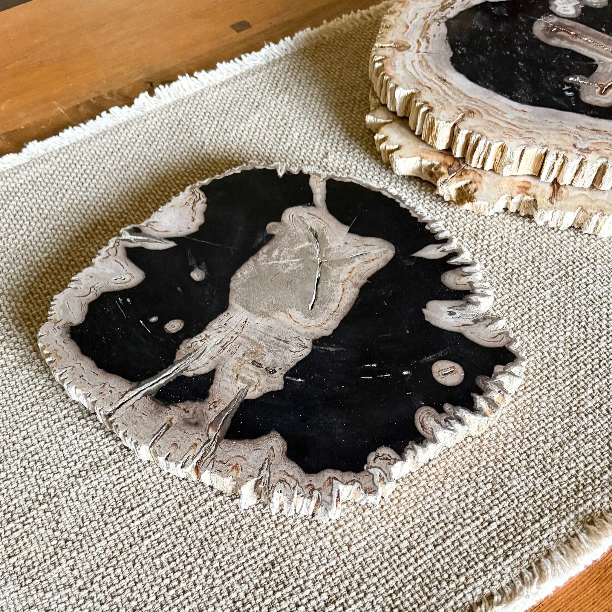 Natural Edge Petrified Wood Serving Board - The Mayfair Hall