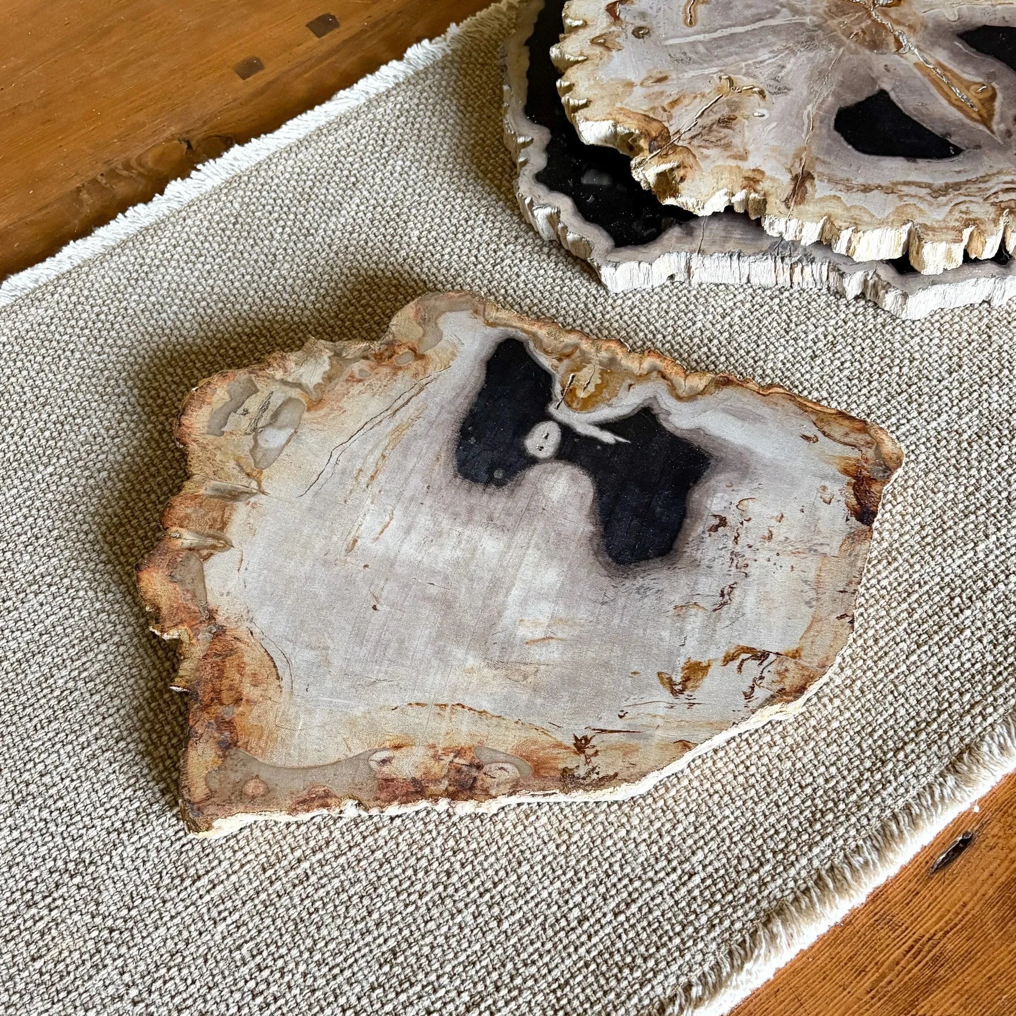 Natural Edge Petrified Wood Serving Board - The Mayfair Hall