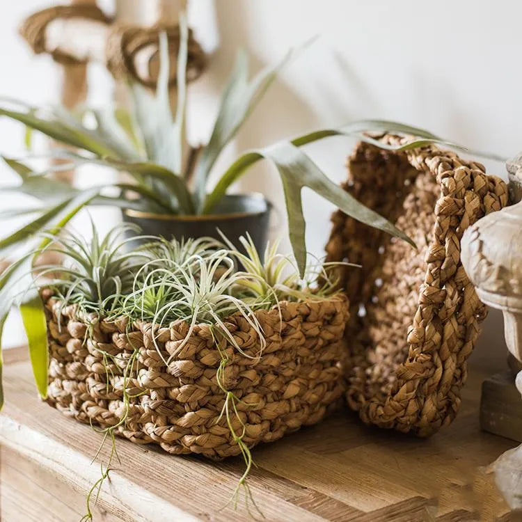 Organic Straw Organizer Storage with Lid - The Mayfair Hall