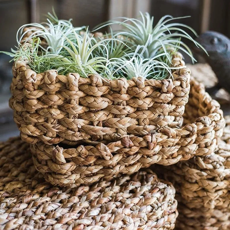 Organic Straw Organizer Storage with Lid - The Mayfair Hall