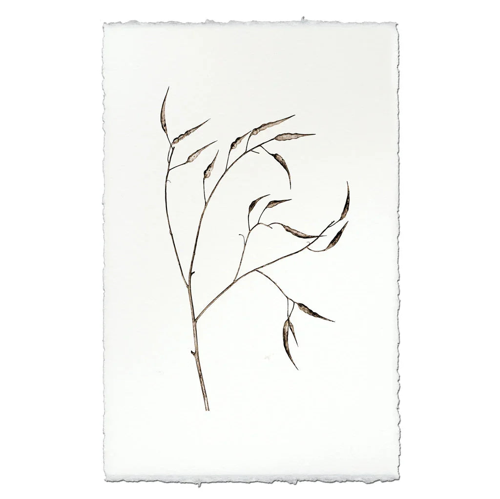 Pepper Form - The Mayfair Hall