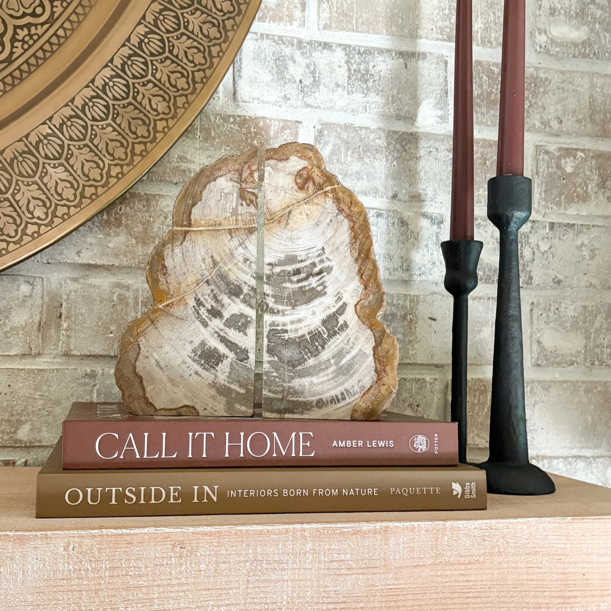 Petrified Wood Bookend Pair