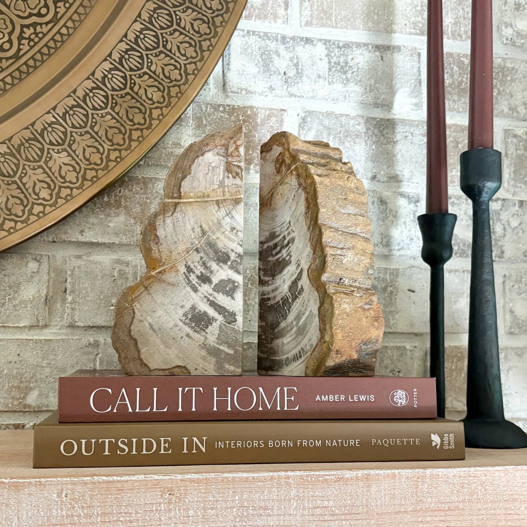 Petrified Wood Bookend Pair