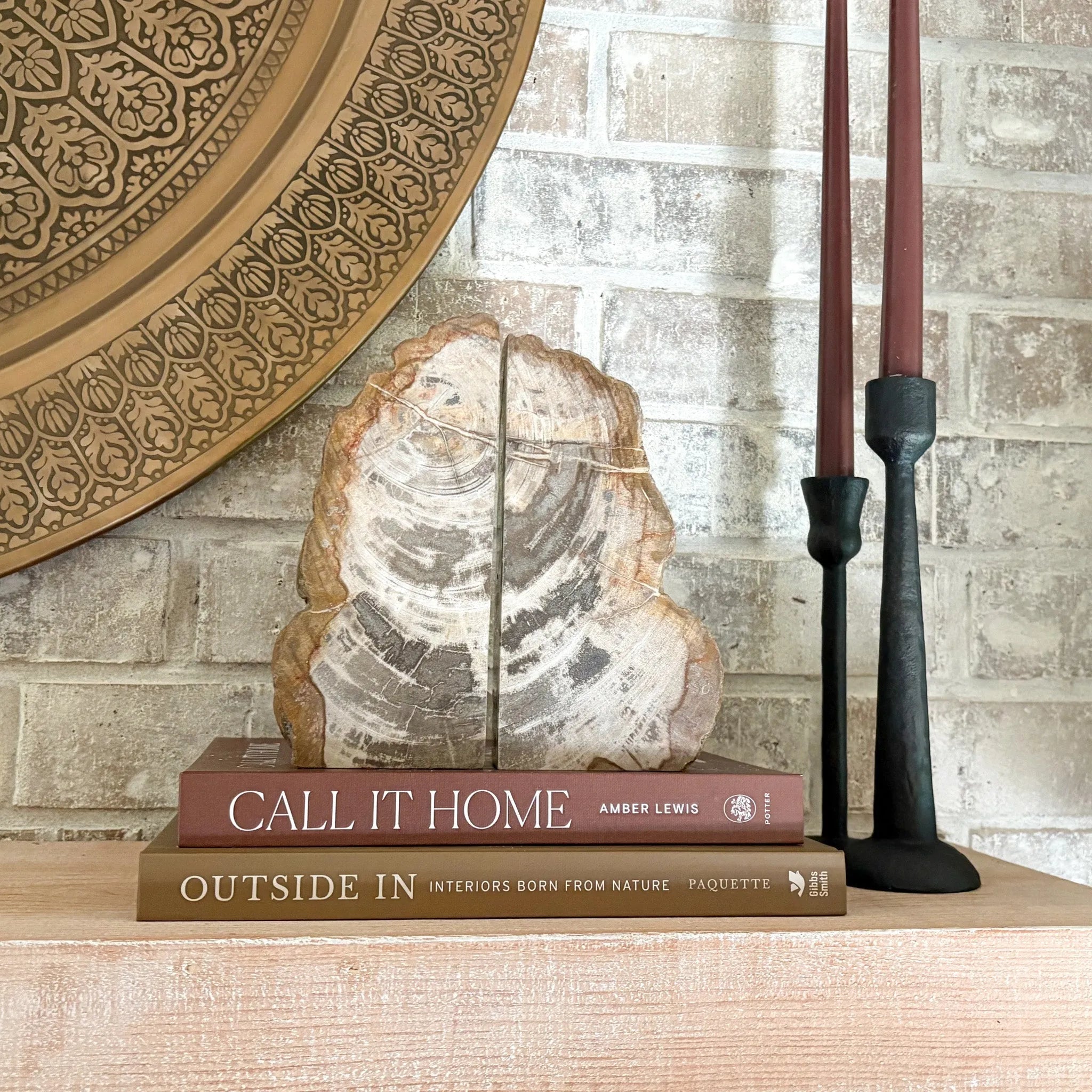 Petrified Wood Bookend Pair