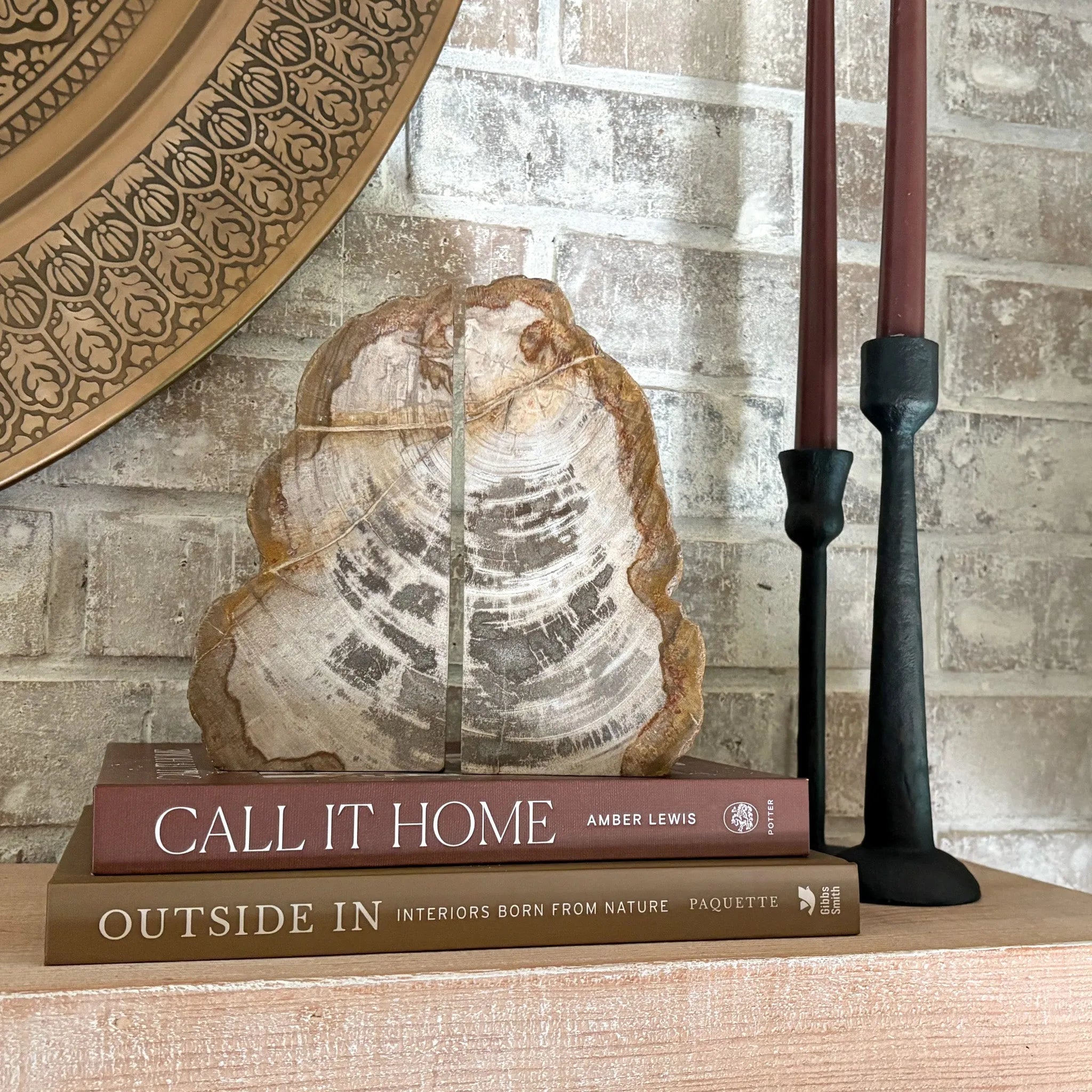 Petrified Wood Bookend Pair