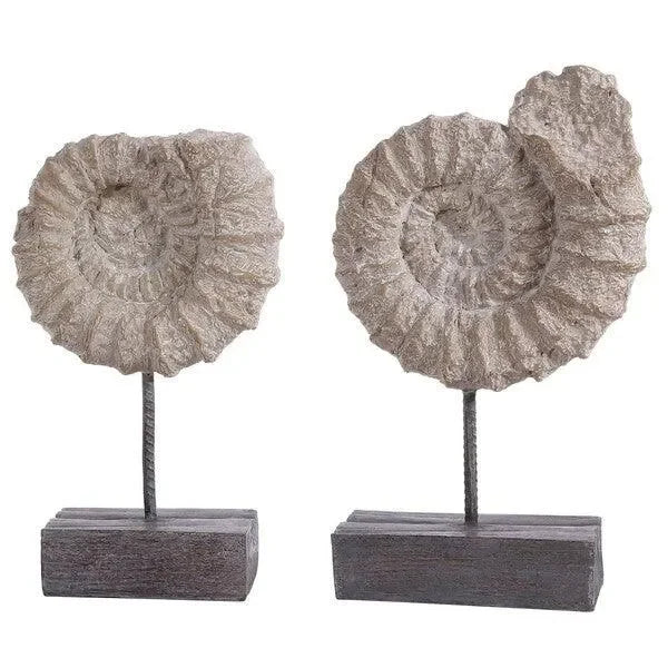 Toren Polyresin Ammonite Shell Table Decor (Set of 2) - The Mayfair Hall